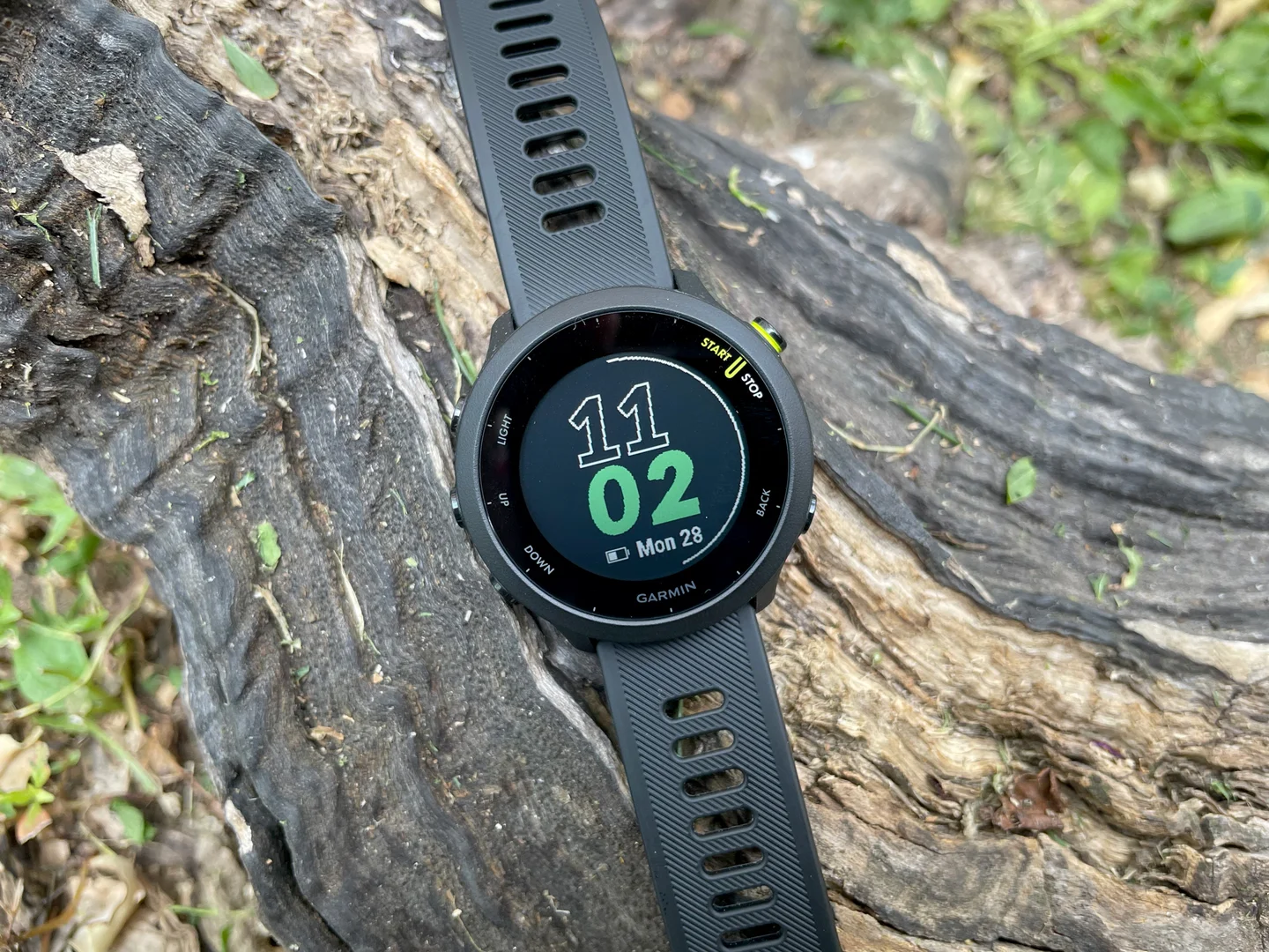 Garmin Forerunner 45 vs 55 - What is the Difference? 